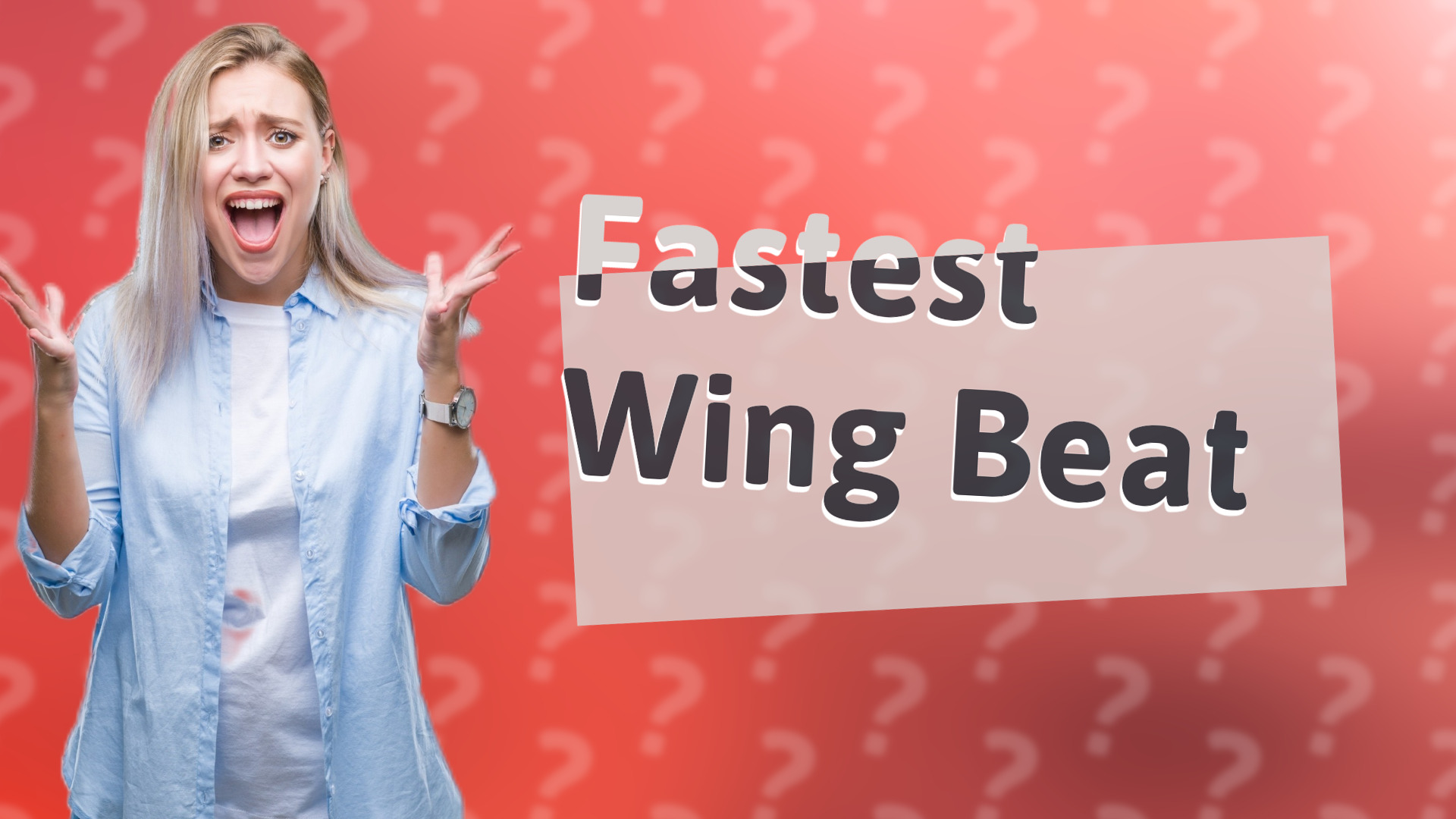 Fastest Wing Beat
