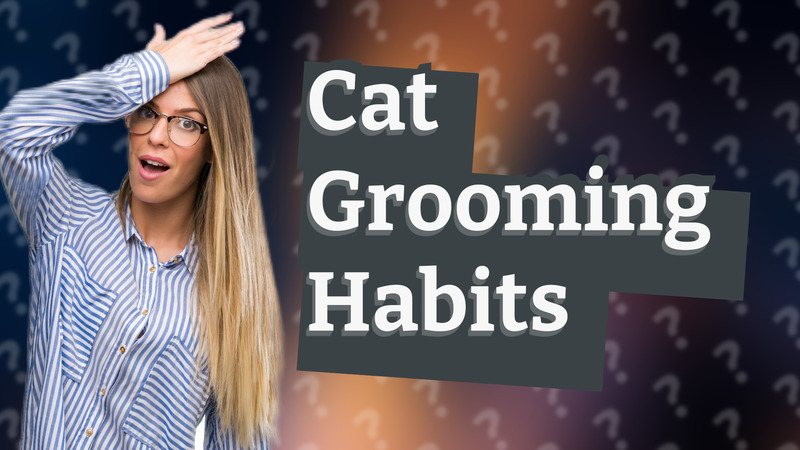 Cat Grooming Habits