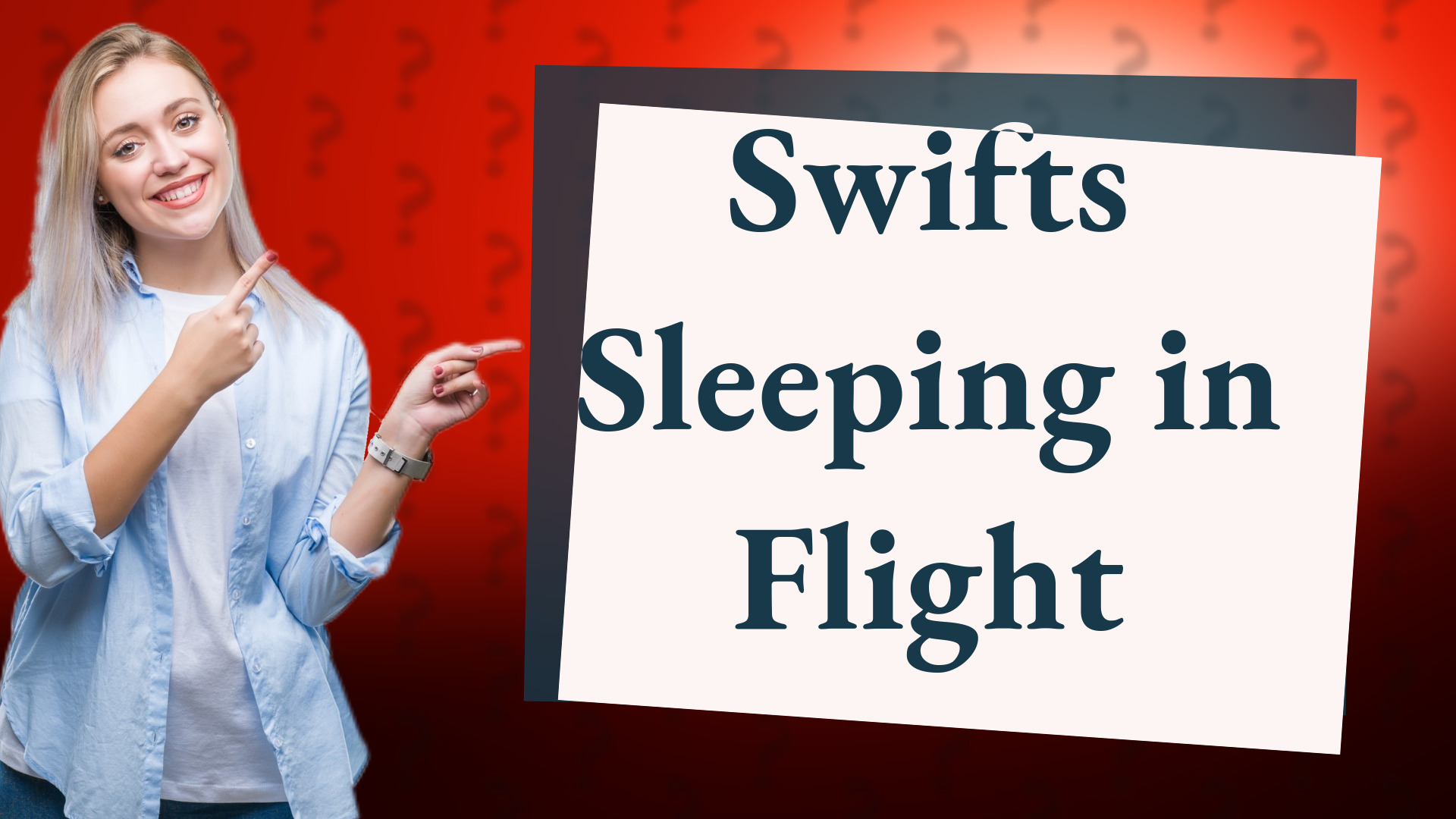 Swifts Sleeping in Flight