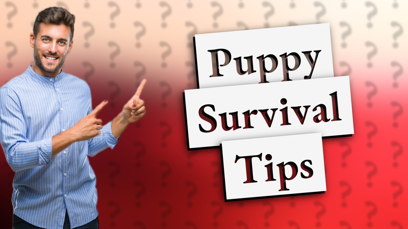 Puppy Survival Tips