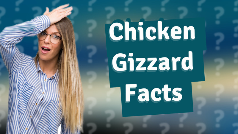 Chicken Gizzard Facts