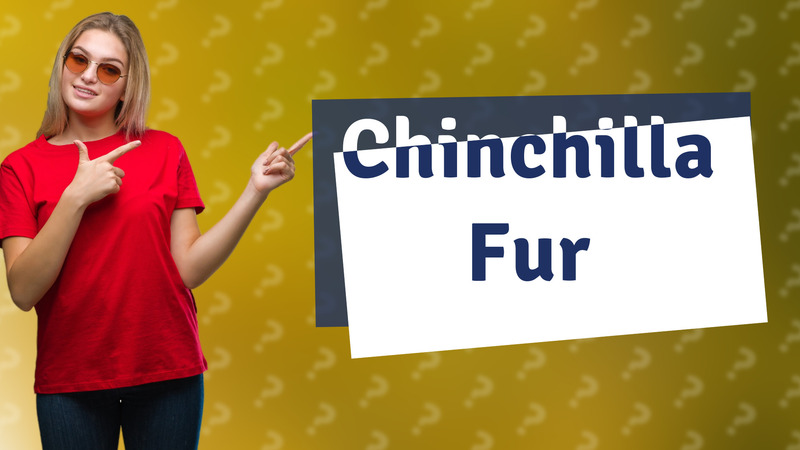 Chinchilla Fur