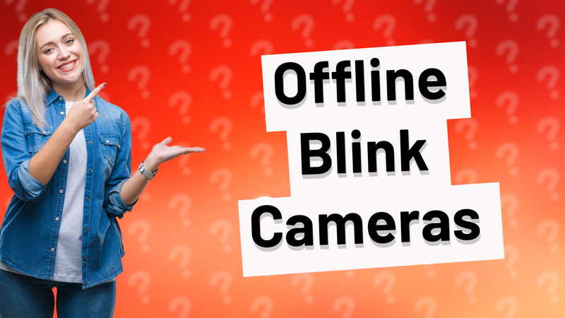 Offline Blink Cameras