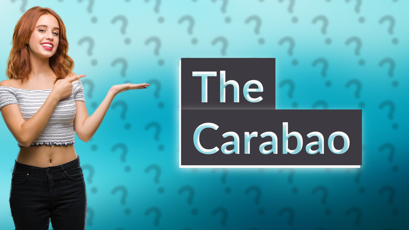 The Carabao