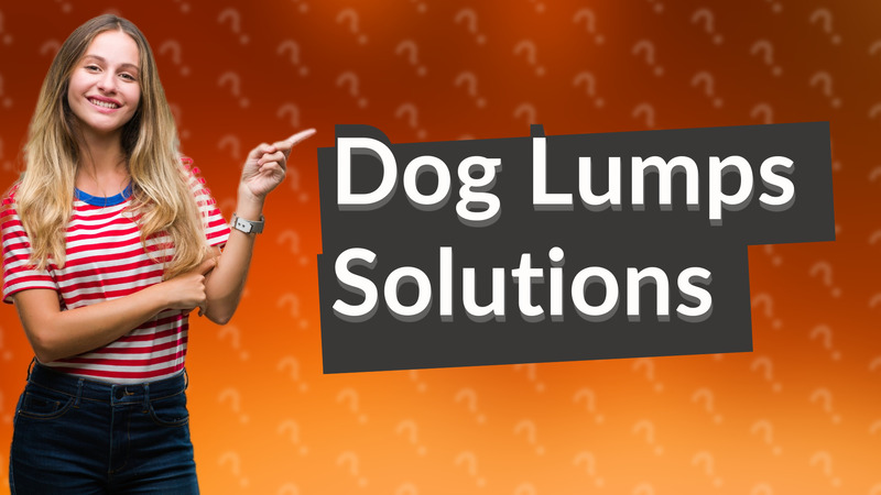 Dog Lumps Solutions