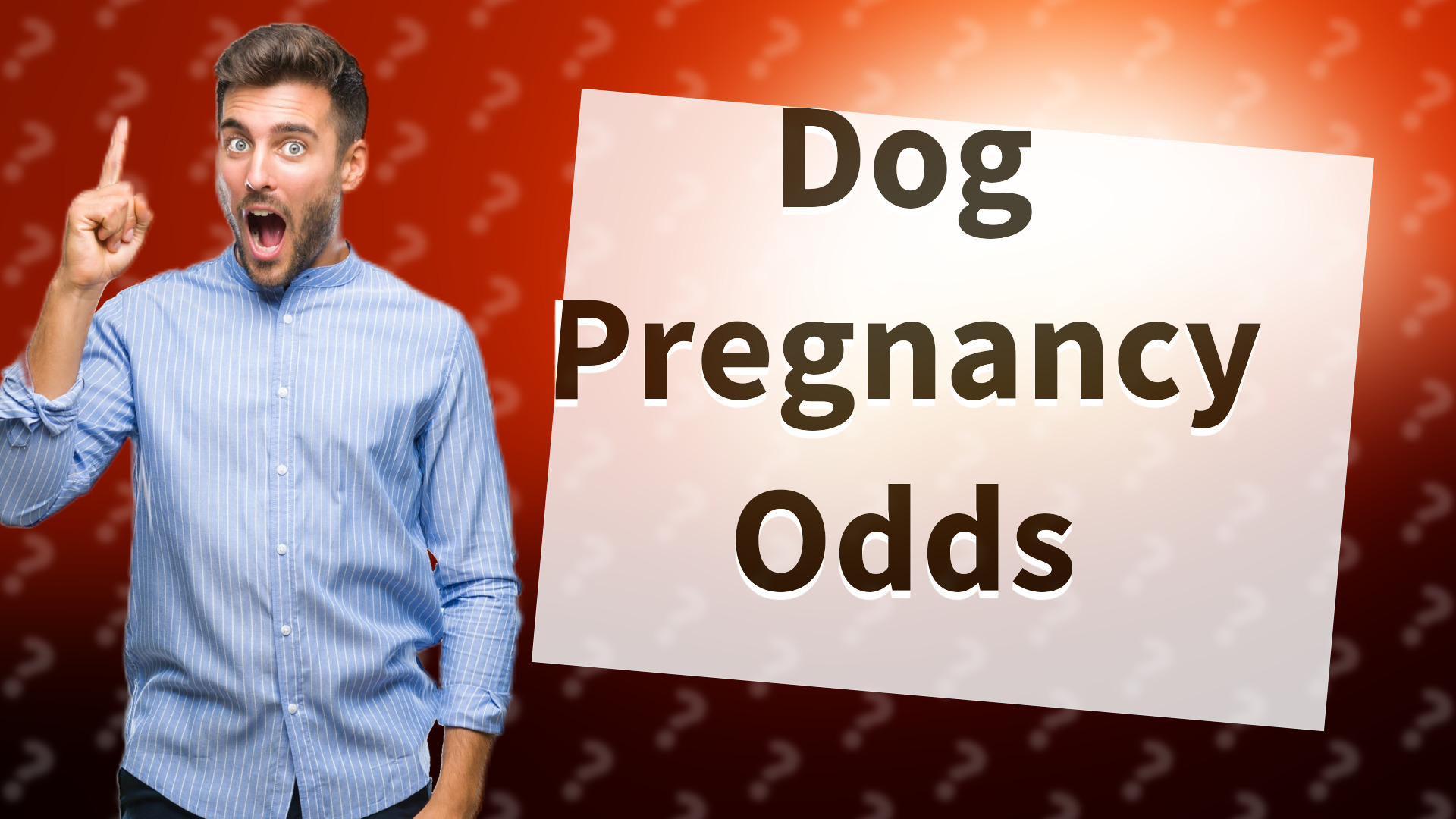 Dog Pregnancy Odds