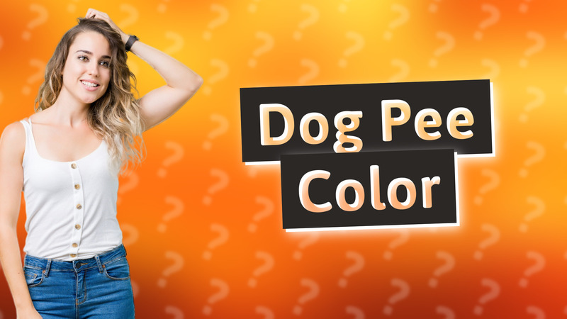 Dog Pee Color