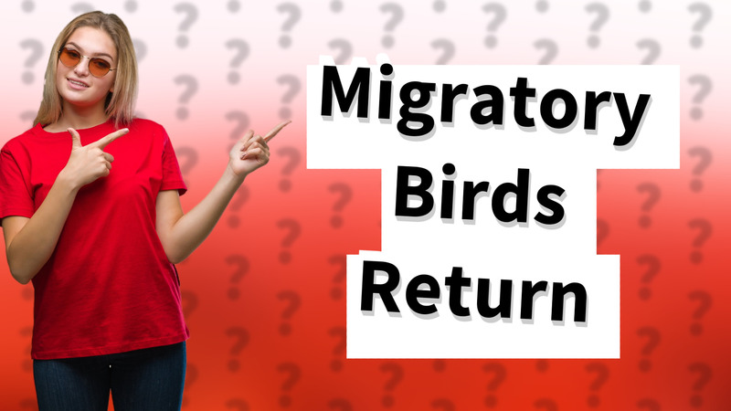 Migratory Birds Return