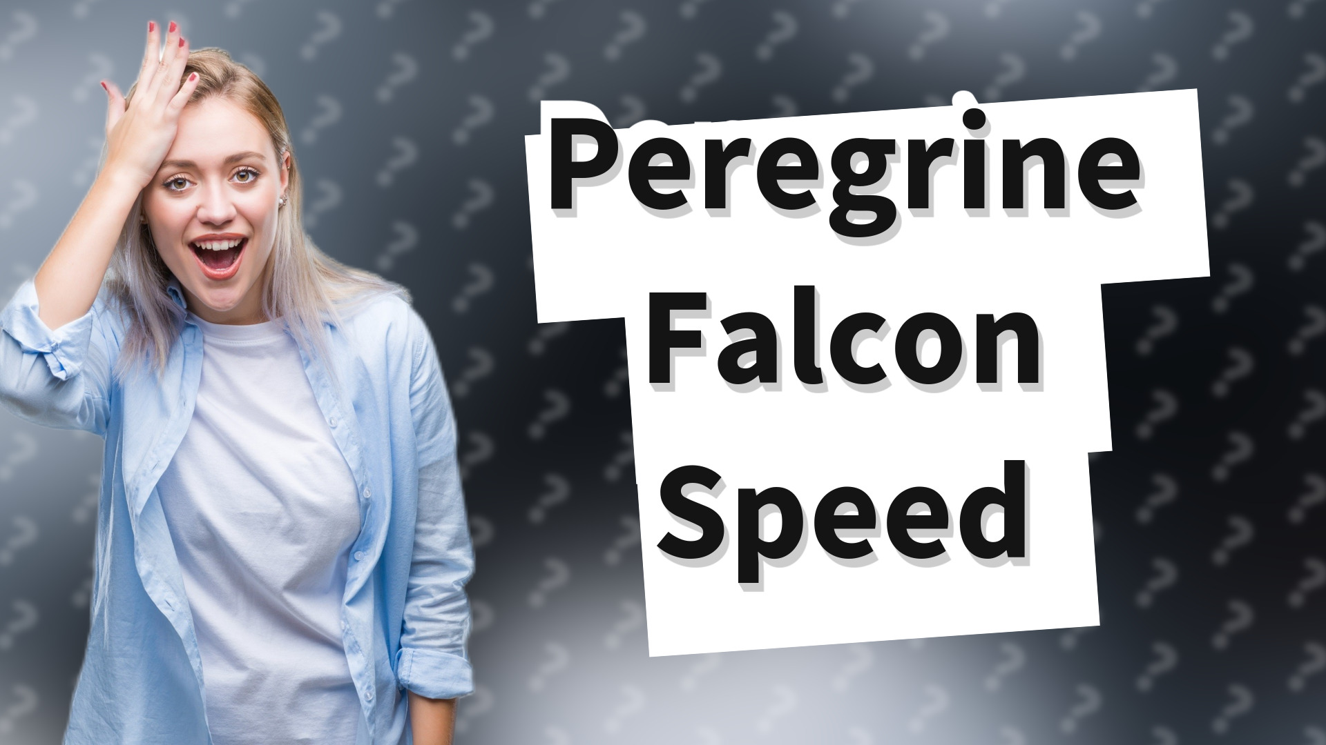 Peregrine Falcon Speed