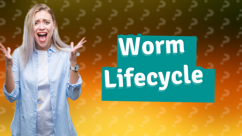 Worm Lifecycle