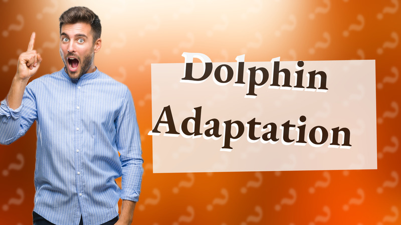 Dolphin Adaptation