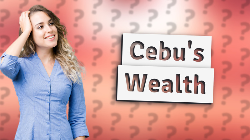 Cebu's Wealth
