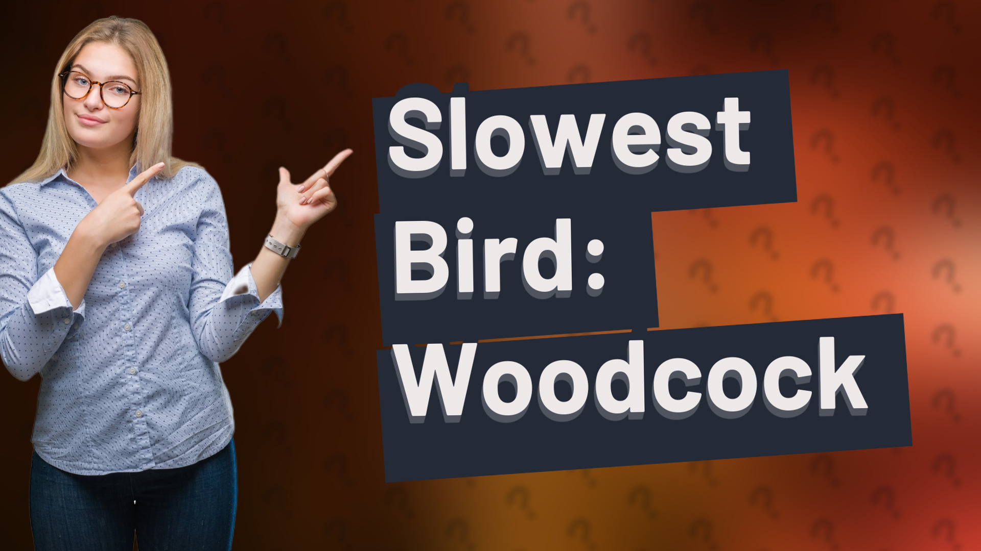 Slowest Bird: Woodcock
