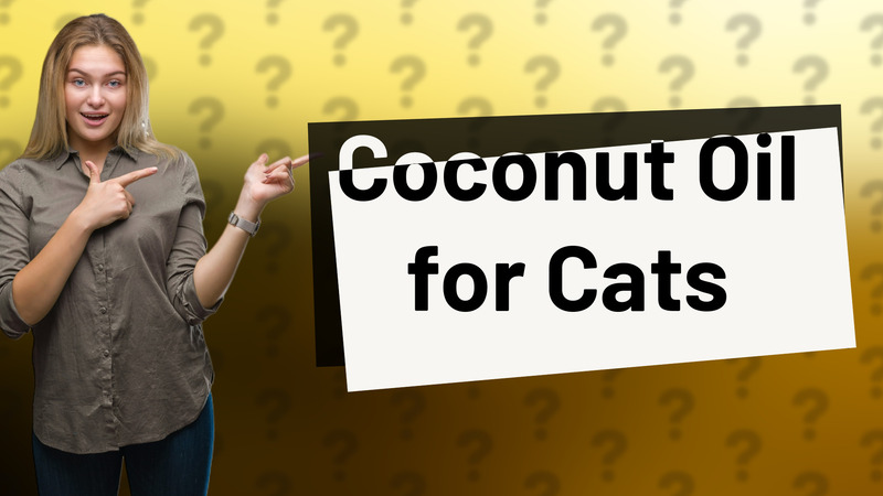 Coconut Oil for Cats