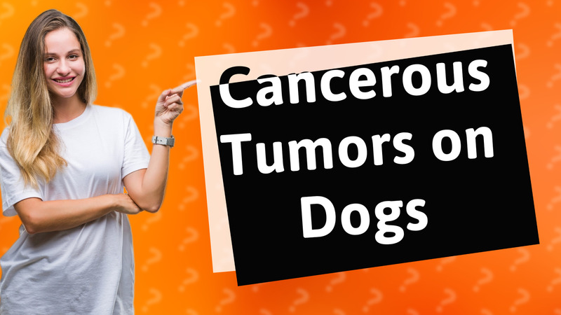 Cancerous Tumors on Dogs