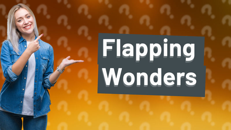 Flapping Wonders