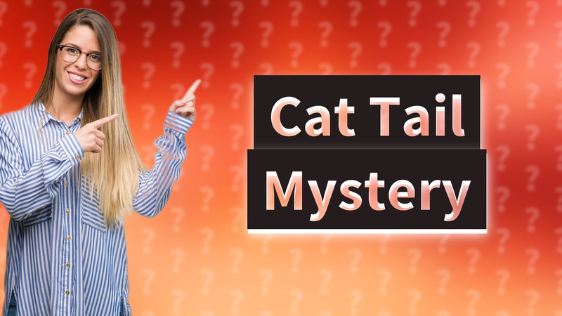 Cat Tail Mystery