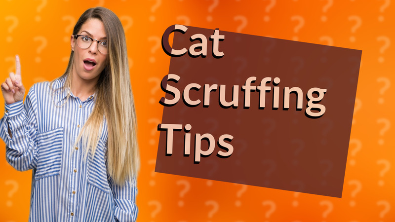 Cat Scruffing Tips
