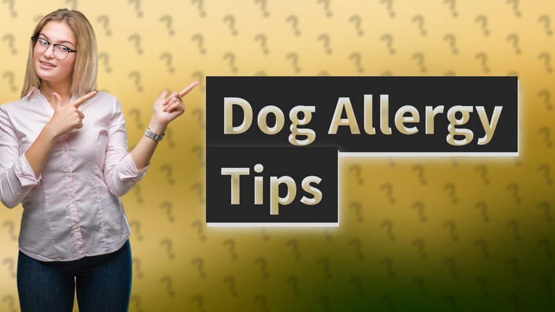 Dog Allergy Tips