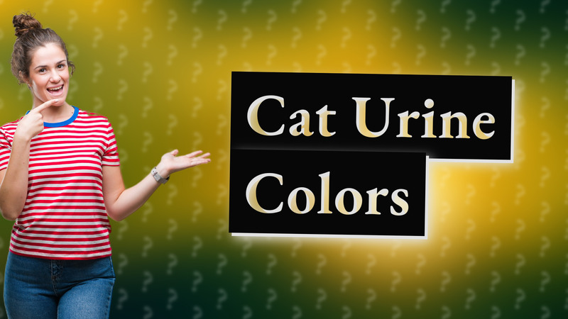 Cat Urine Colors