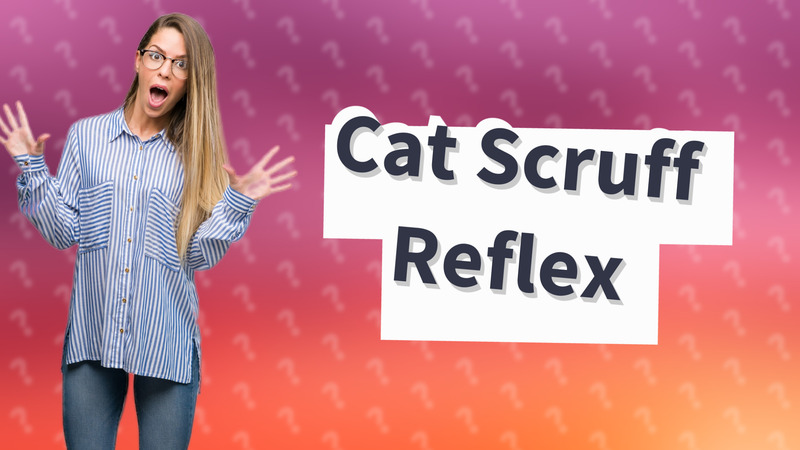 Cat Scruff Reflex