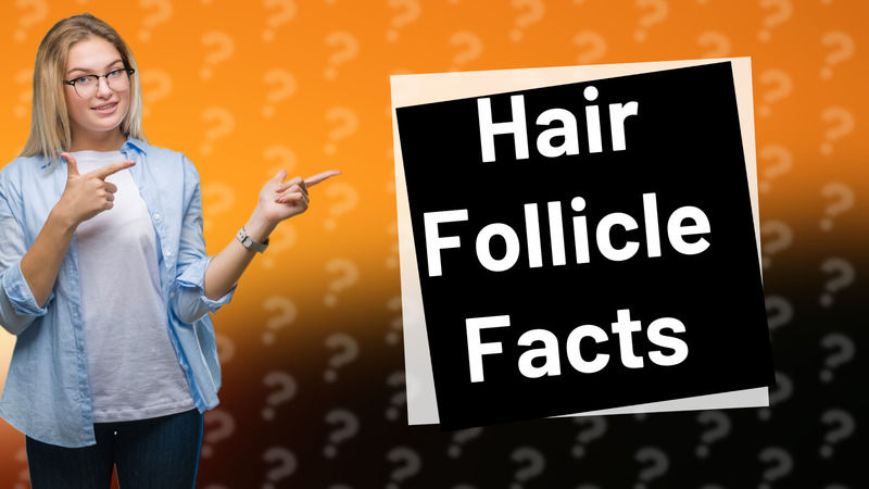 Hair Follicle Facts