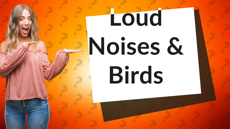 Loud Noises & Birds