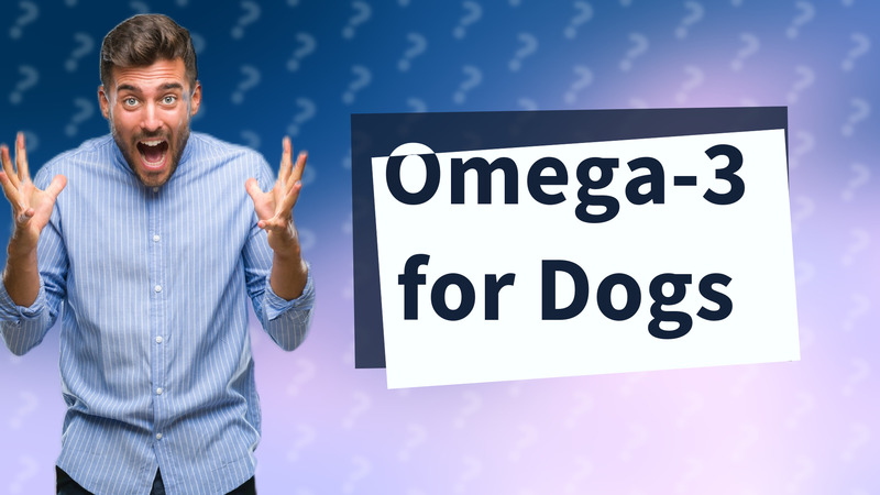 Omega-3 for Dogs
