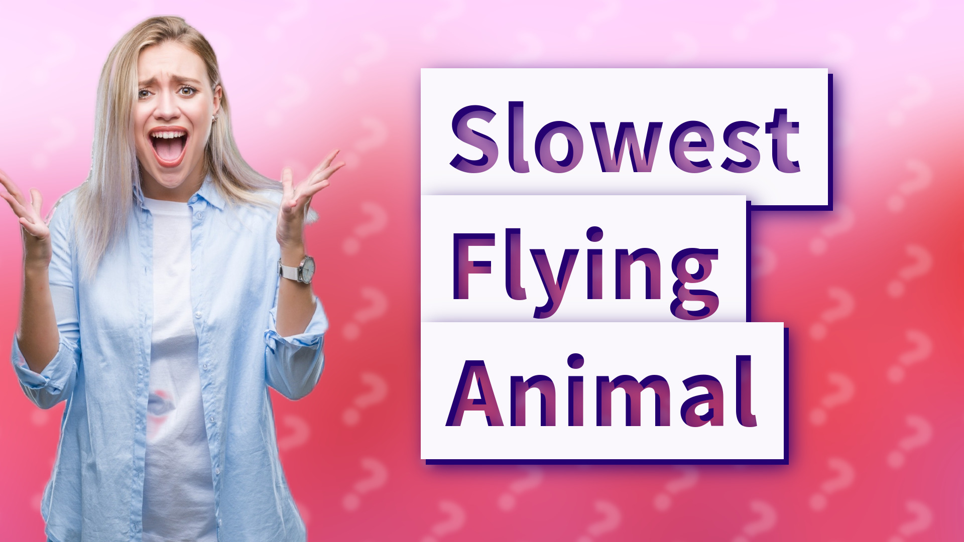 Slowest Flying Animal