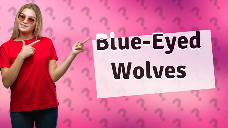 Blue-Eyed Wolves