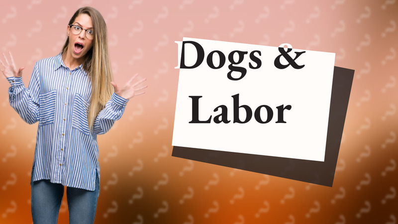 Dogs & Labor