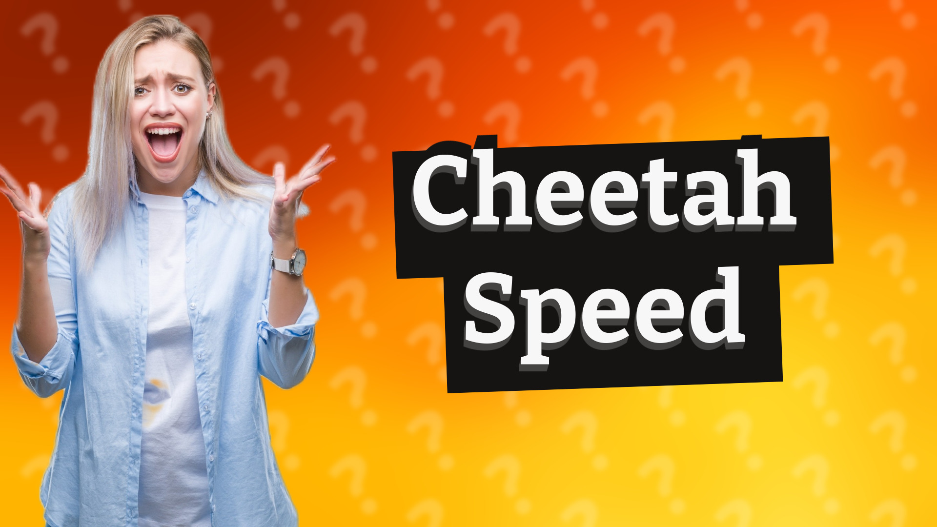 Cheetah Speed