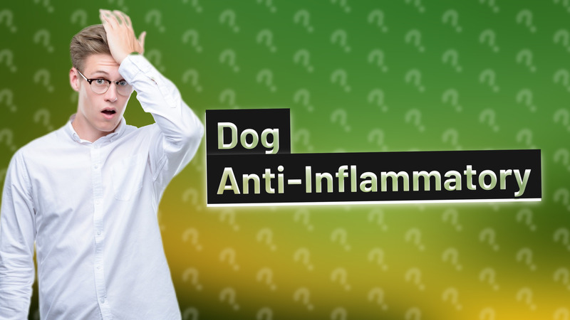 Dog Anti-Inflammatory