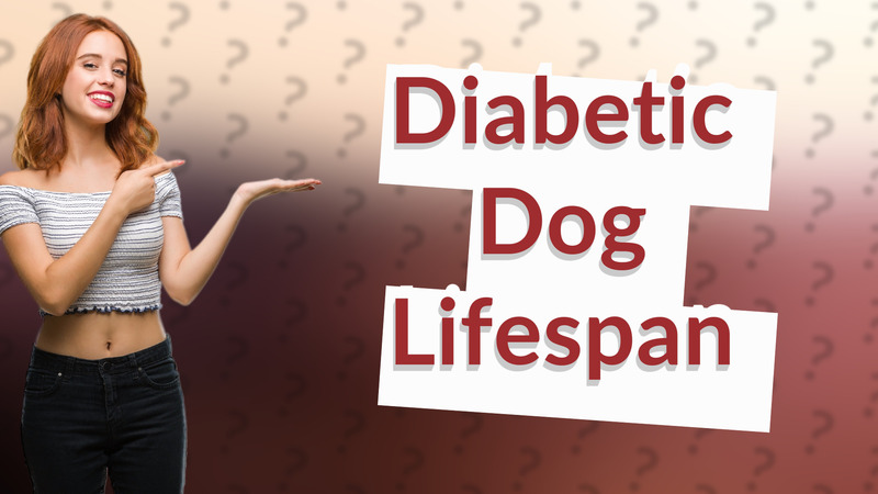 Diabetic Dog Lifespan