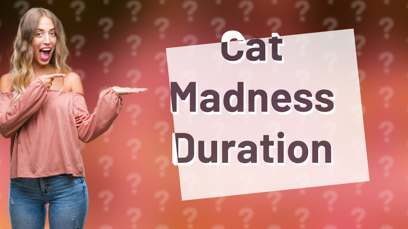 Cat Madness Duration