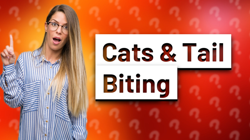 Cats & Tail Biting