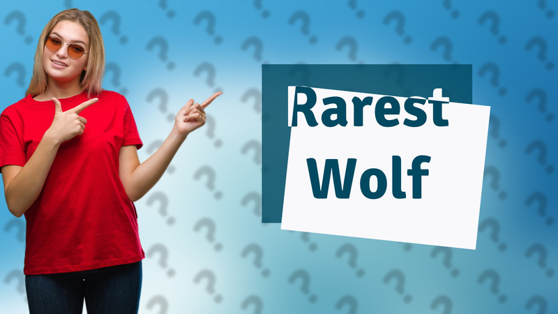 Rarest Wolf