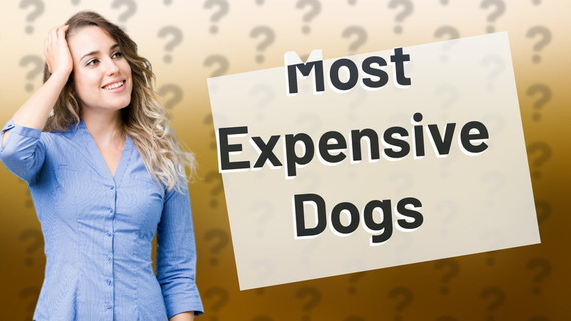 Most Expensive Dogs