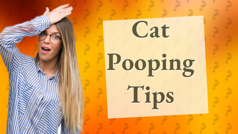 Cat Pooping Tips