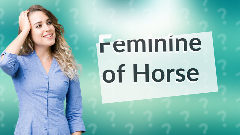 Feminine of Horse