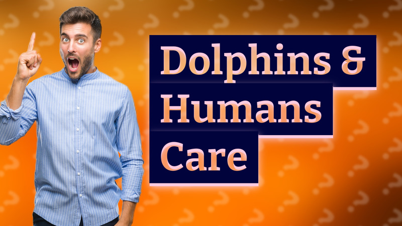 Dolphins & Humans Care