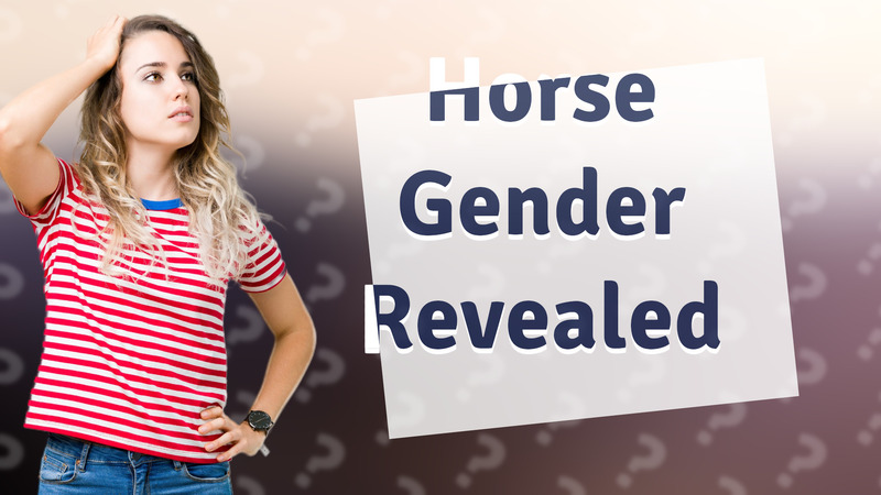 Horse Gender Revealed