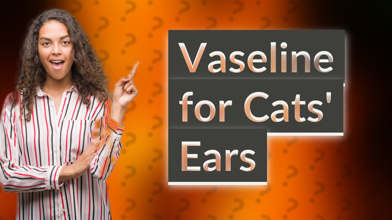 Vaseline for Cats' Ears