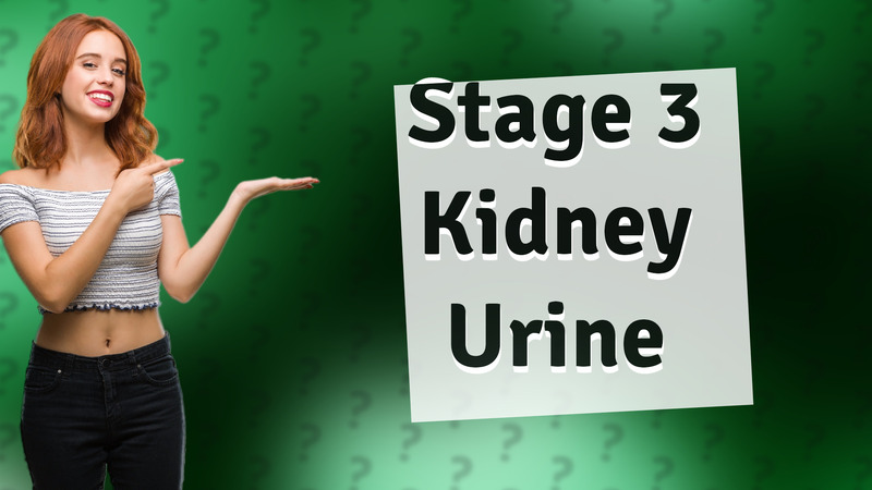Stage 3 Kidney Urine