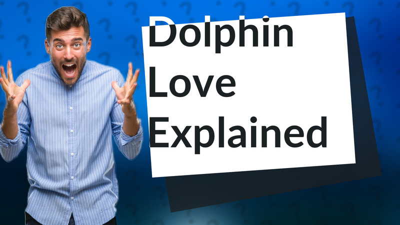 Dolphin Love Explained