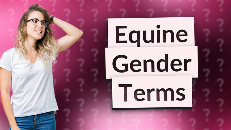 Equine Gender Terms