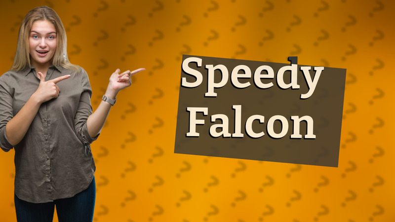 Speedy Falcon