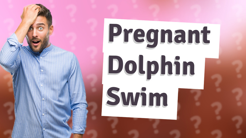 Pregnant Dolphin Swim