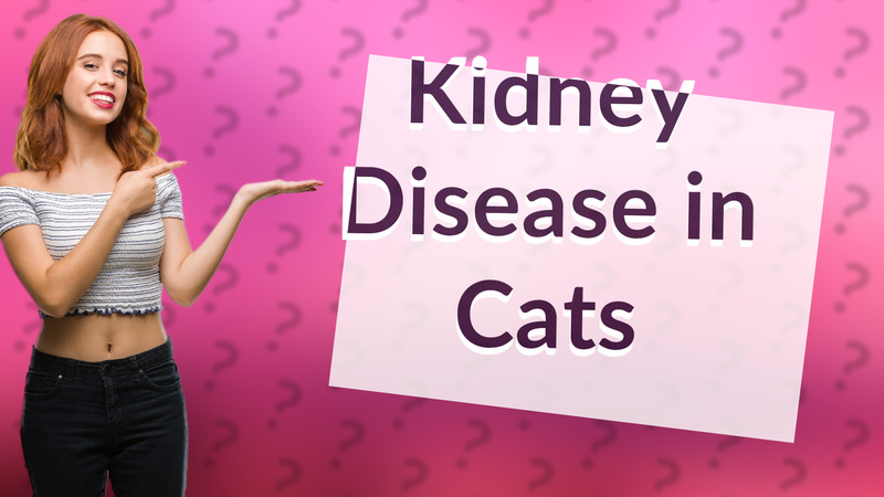Kidney Disease in Cats