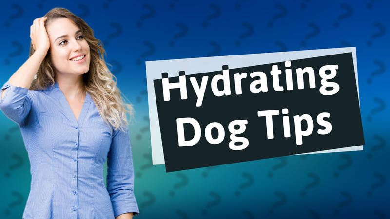 Hydrating Dog Tips